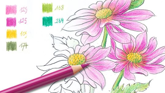 Colouring pages (advanced): Flower