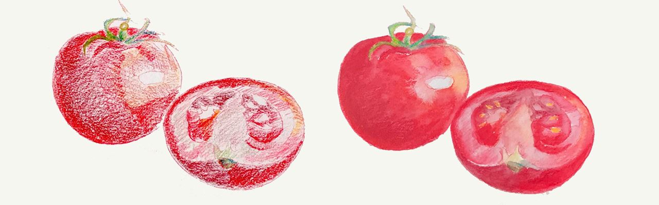 Drawing of a tomato.