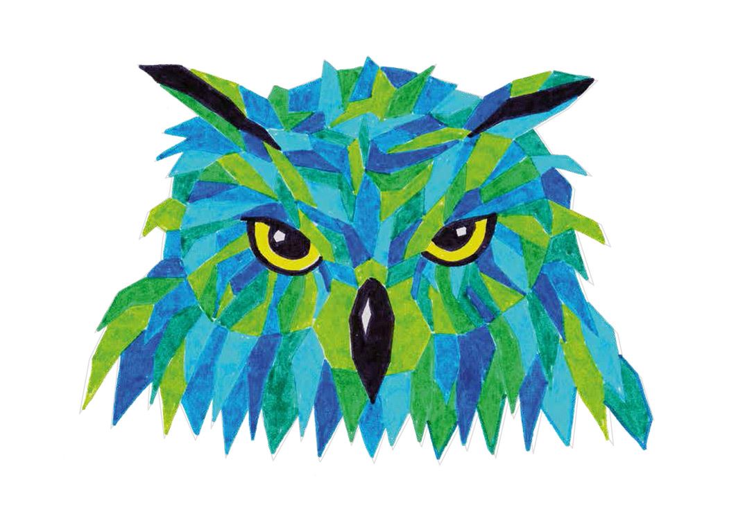 Colouring example owl
