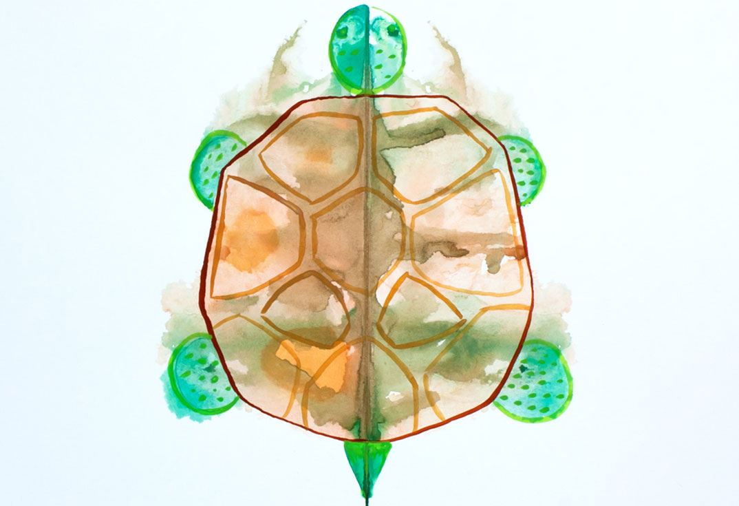 Colour blobs in shape of a turtle