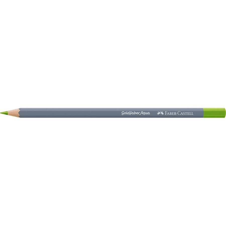 Faber-Castell - Goldfaber Aqua watercolour pencil, may green