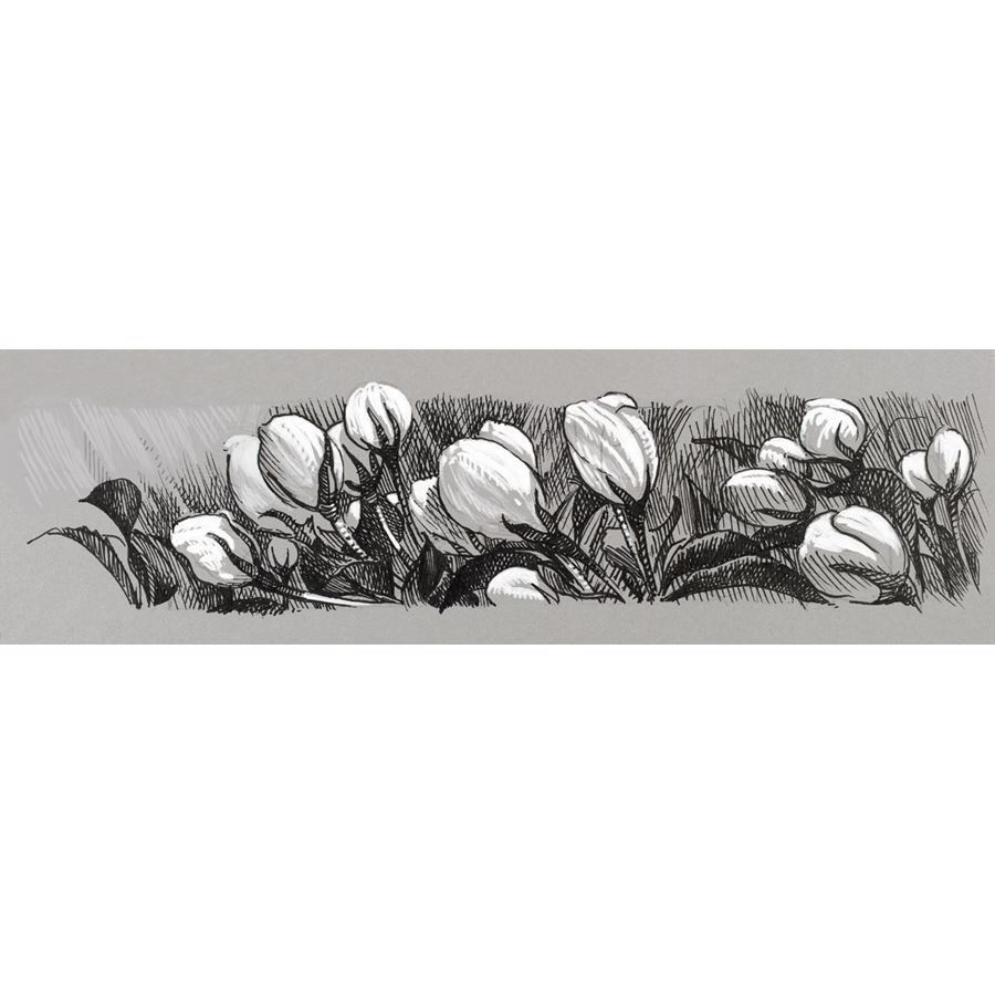 Faber-Castell - Pitt Artist Pen India ink pen, wallet of 4 black&white