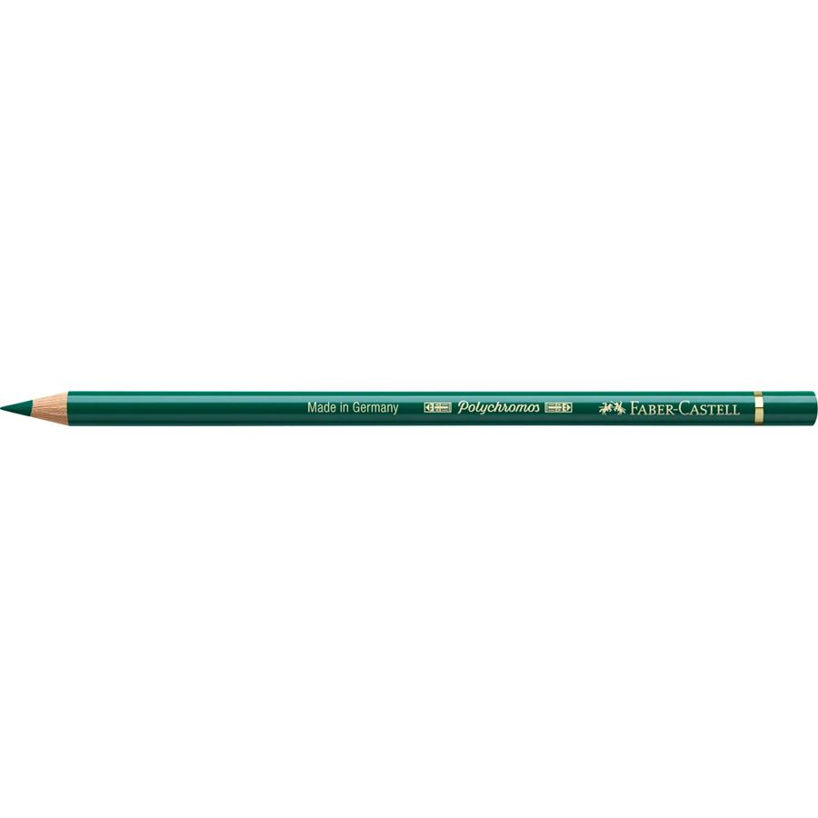 Faber-Castell - Polychromos colour pencil, 159 Hooker´s green